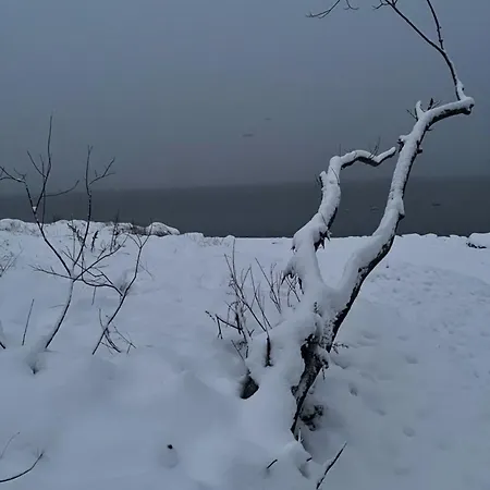 Strandperle 1 דירה *