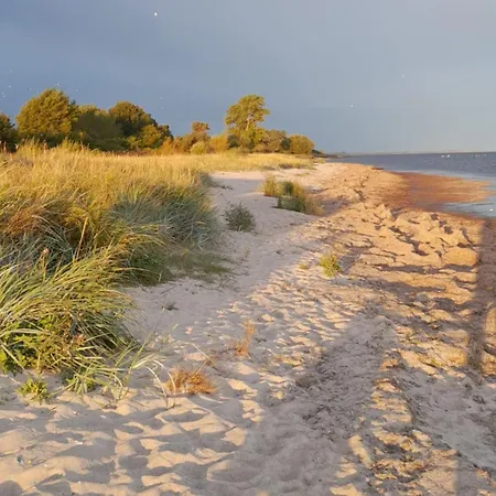 Strandperle 1 شقة Loissin