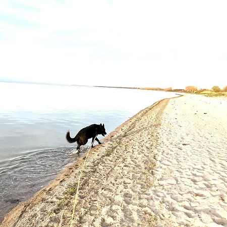 شقة Strandperle 1